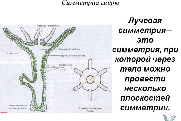 Кракен даркнет вход